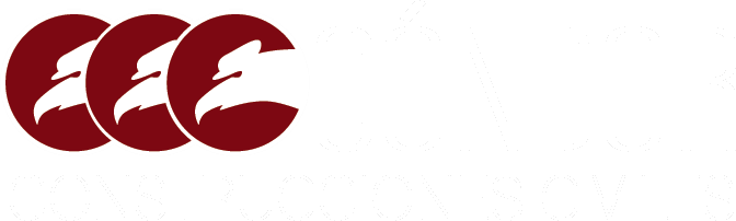 Condor Construcciones